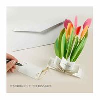グリーティングライフ バースデーブルーミングカード チューリップ KE-31 1個