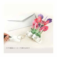 グリーティングライフ バースデーブルーミングカード アネモネ KE-30 1個