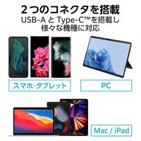 エレコム USBメモリ/USB3.2(Gen1)/Type-C/キャップ式/256GB/ブラック MF-CAU32256GBK 1個
