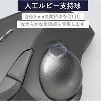 トラックボールマウス用交換パーツ 人工ルビー 3個入 グレー M-RS10 エレコム 1個（直送品）