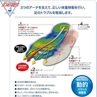 三進興産 DSIS ソルボバスケット L グレー dp00073 1個（直送品）