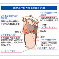 三進興産 ソルボ外反母趾・内反小趾サポーター パワーメッシュ固定型 左 L ベージュ dp00119 1個（直送品）