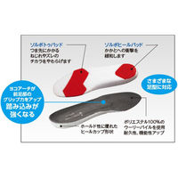 三進興産 ソルボライト ダークグレー 3L dp00130 1個（直送品）