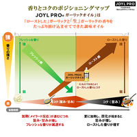 業務用 ガーリックオイル 1000g ペット 1本 J-オイルミルズ フレーバーオイル　大容量  特大 プロ仕様