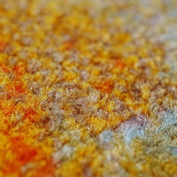 クリーンテックス・ジャパン wash+dry 薄型で丈夫な洗える玄関マット Manera 50 x 75 cm AB00464 1枚（直送品）