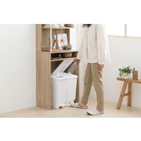 アイリスオーヤマ ゴミ箱上ラック ライトナチュラル/ホワイト GUR-595H 1台