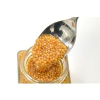 ゴールデンマスタード ゴールド 140g 1個 GOLDEN MUSTARD