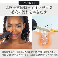 GESKE マイクロカレント スキンスクライバー & ブラックヘッドリムーバー GK000044GY01 1個