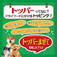 いなば ちゅ～る 犬 とりささみバラエティ 国産 （14g×20本） 1袋 ちゅーる ドッグフード 犬用 ウェット おやつ
