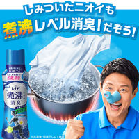 レノア 超消臭 煮沸レベル 抗菌ビーズ スポーツ クールリフレッシュ＆シトラス 本体 420mL 1個 抗菌 P＆G