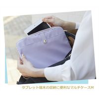 nofes（ノフェス） マルチケースM ダズルブラック MC1036B レイメイ藤井