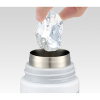 スケーター SMIB5 超軽量調乳用ステンレスボトル500ml ムーミン星 1個（直送品）