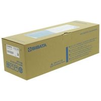 柴田科学 メスフラスコ(全量フラスコ・カスタムA)1000mL 校正証明書付 026050-1000 1個 1-8654-30-20（直送品）