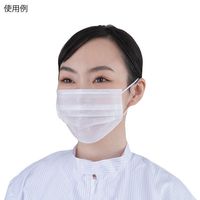 アズワン アズピュア2PLYマスク 耳掛けタイプ 2000枚入 4-3554-01 1箱(2000枚)（直送品）