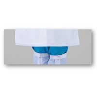 アズワン アズピュアESD耐薬エプロン C103-2 1枚 4-5470-01（直送品）