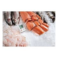 アズワン テストー ミニ温度データロガー(1ch)testo 174T 校正証明書付 0572 1560 1個 61-0104-36-20（直送品）