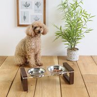 PETTO ペット用エサ皿 RIME (ライム) BR 338353 1個（直送品）