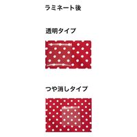 ミササ ラミネートシート らみ~ちゃん 透明 アイロン接着 No.905 R905 1セット(3枚)