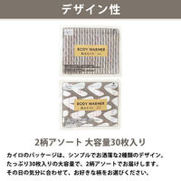 貼る カイロ 1個（30枚入） ミニサイズ エステー オリジナル（わけあり品）