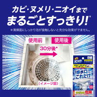 強力カビハイター 排水口そうじこれだけ 大容量 1箱（6袋入） 花王