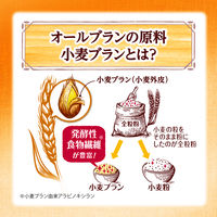 オールブラン ブランリッチ 大容量 1セット（1袋×2） 日本ケロッグ