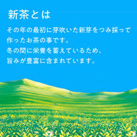 伊藤園 2024年 お～いお茶 新茶 プレミアムティーバッグ 1袋（20バッグ入）