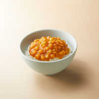 （1歳頃から） にしきや こどもカレー 1袋（100g） キッズどんぶり レトルト にしき食品