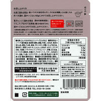 （1歳頃から） にしきや こどもハンバーグ 1セット（1袋（100g）×5 ） キッズ レトルト にしき食品