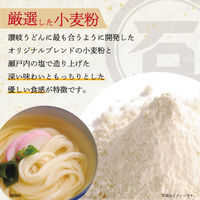 石丸製麺 讃岐ざるうどん 400g 1セット（1個×2）
