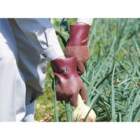 【天然ゴム手袋】 トワロン M 151-M 1双