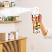 お部屋の虫キラーダブルジェット 450ml 1本 フマキラー