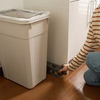 ドラデスパワー強力粘着シート 1箱（2枚入） フマキラー