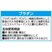 エスコ 910x910x4mm ポリカーボネートプラダン(ブロンズ/2枚) EA911BD-92A 1セット(1枚)（直送品）