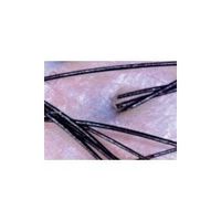 GOKO映像機器 GOKO マルチディスタンススコープ EV-6HD 1台 434-7923（直送品）