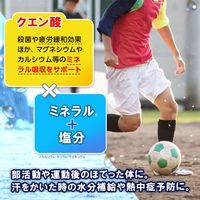 inゼリー（インゼリー） エネルギーフローズン 塩分プラス ライチ味  1セット（1個（180g）×12） クエン酸 森永製菓