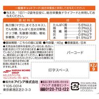健康缶 オーラルケア まぐろペースト 国産 40g 1セット（1袋×6）キャットフード ウェット パウチ
