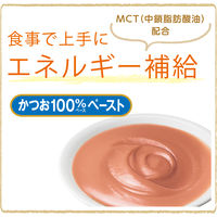 国産健康缶 エネルギー補給かつお 40g 1セット（1袋×6）国産 キャットフード ウェット パウチ