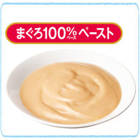 健康缶 水分補給まぐろペースト 40g 1セット（1袋×6）国産 キャットフード ウェット パウチ