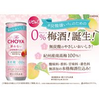 ノンアルコール チューハイテイスト飲料 ザ・チョーヤ 酔わない本格梅酒仕込み 250ml 1ケース（30本）