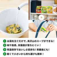 味の素　クノール フリーズドライスープ5種セット　1セット（24食）