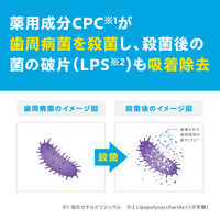 歯磨き粉 ガム デンタルペースト爽快タイプ 120g サンスター GUM 原因菌を殺菌・除去 歯周病予防 フッ素 虫歯