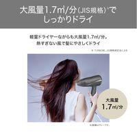 ヘアドライヤー プロテクトイオン 折りたたみ 軽量 大風量 切替スイッチ 静電気抑制 ゴールド TD360A-N テスコム 1個