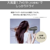 ヘアドライヤー プロテクトイオン 折りたたみ 軽量 大風量 切替スイッチ 静電気抑制 グレー TD360A-H テスコム 1個