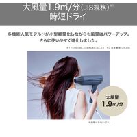 ヘアドライヤー 大風量 2WAYモイスチャーフード 切替スイッチ ピンク TD465A-P テスコム 1個