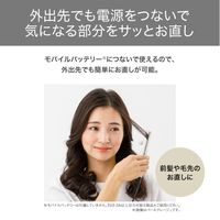 ヘアアイロン コンパクト USB給電式 海外OK モバイルバッテリー対応 メタリックグレー TS310A-H テスコム 1個（直送品）