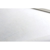 日本紐釦貿易 広幅製図用紙(無地) 95cmx15m F4-002 1セット(2本)