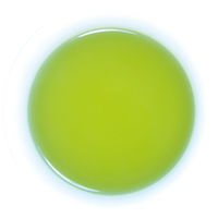 国太楼 シャインマスカット香る カフェインレス深蒸し茶 粉末・インスタント緑茶 1袋（30g）