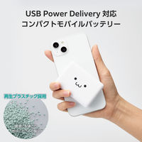 モバイルバッテリー 大容量 軽量 USB-C×2 最大 20W 10000mAh EC-C14LWF エレコム 1個
