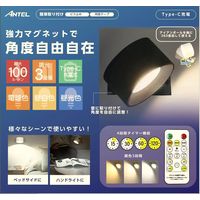 壁掛けライト 充電式 ブラック 調色 調光 360度回転 タイマー機能 リモコン操作 YSN HX10LT-011BK 1個