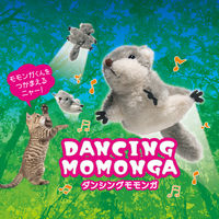 ダンシングモモンガ 電動 猫用おもちゃ 1個